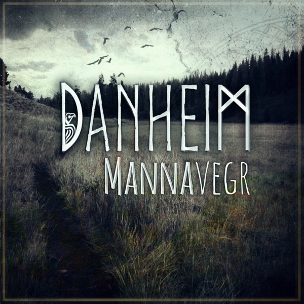Mannavegr vinyl sleeve